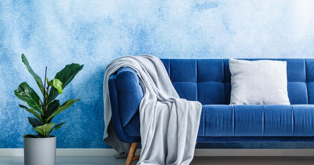 Μπλε τοίχος με μπλε καναπέ μπροστά και ένα φυτό εσωτερικού χώρου