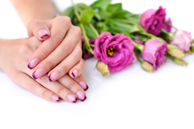 Γυναικεία χέρια με μωβ γαλλικό μανικιούρ, δίπλα σε μωβ τριαντάφυλλα.